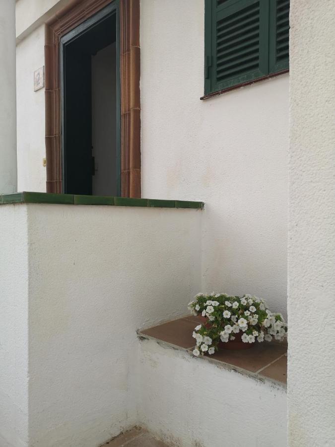 Toni'S Apartament Menorca Cala en Bosch Ngoại thất bức ảnh